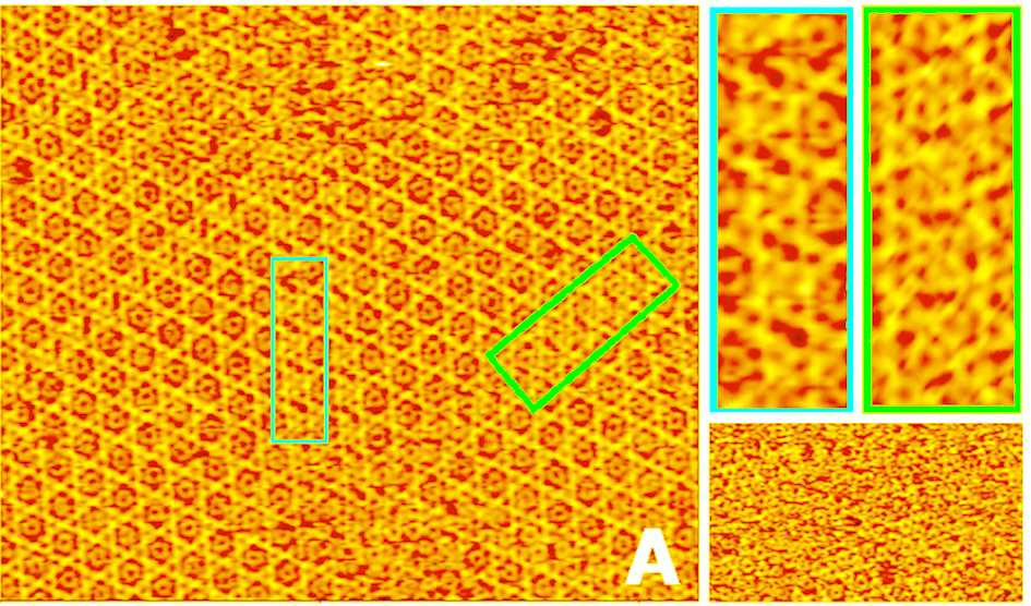 Stacking faults in 2D crystals of Annexin A5