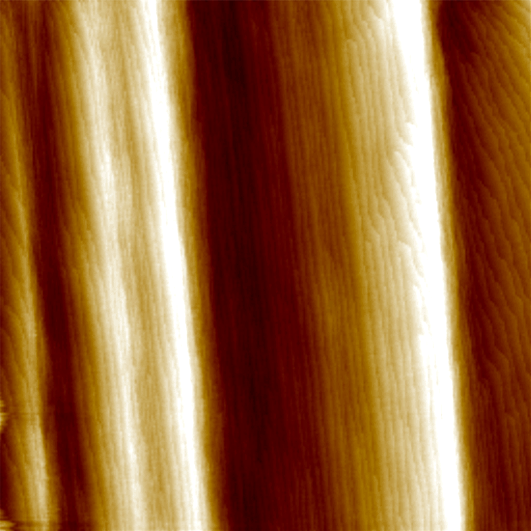 Step Bunches in an Instulin Crystal Step Bunches in an Instulin Crystal