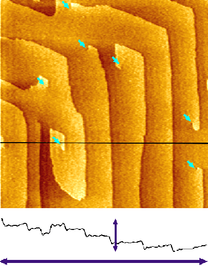 Dislocations in an insulin crystal